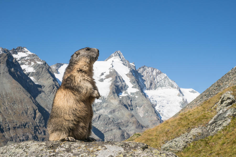 Flachau und das Salzburger Land