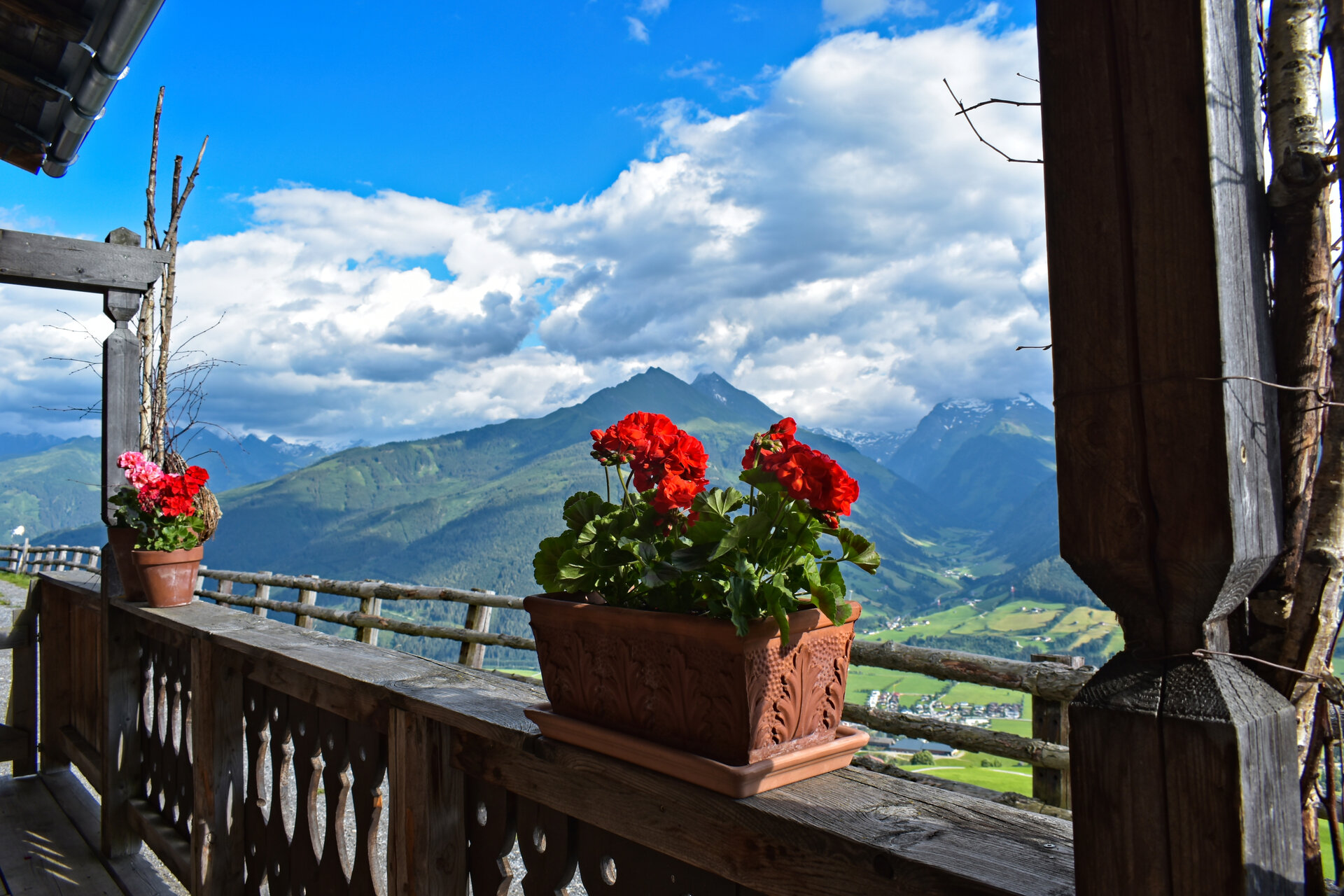 Beautiful potted red geranium flowers on a balcony overlooking a valley in the Kitzbuehel Alps, Austria