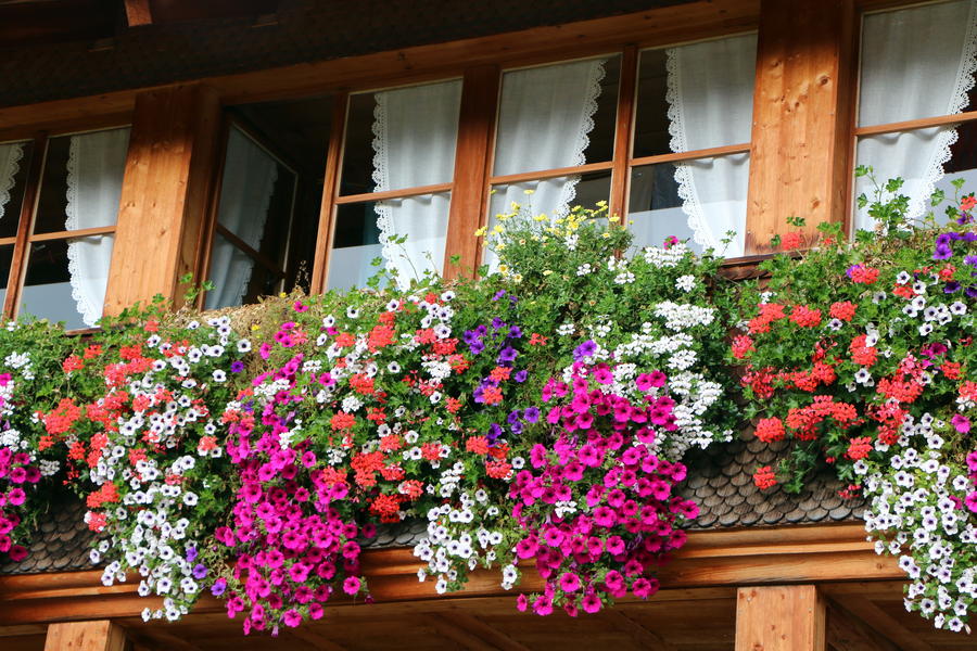 „3. Überraschungsfahrt“ in die Berge