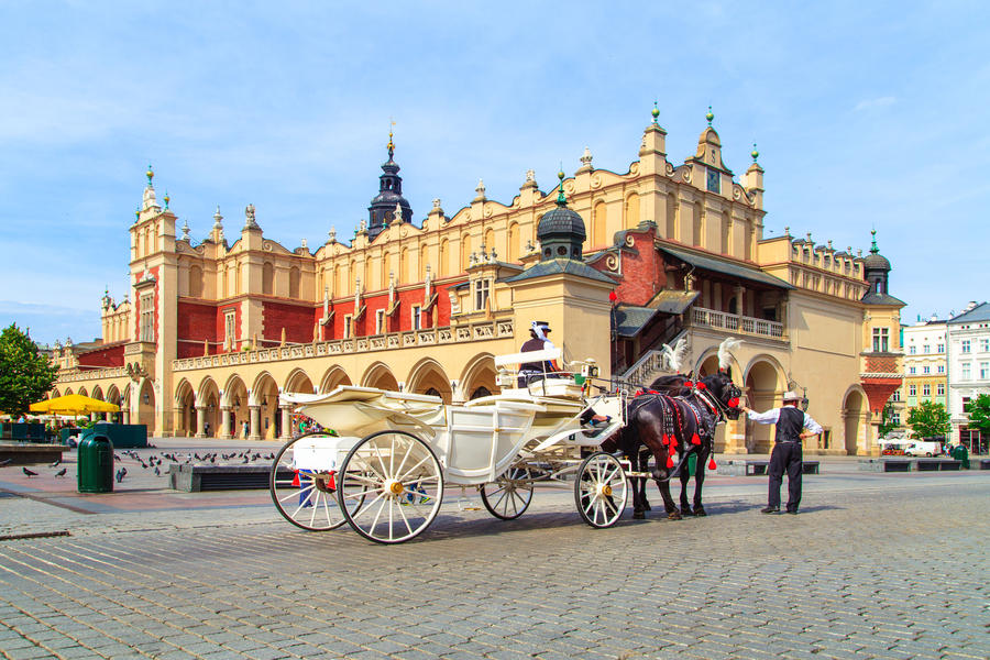 Horses and carts on the market in Krakow with a view of the hall