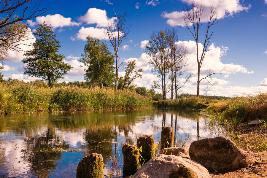 Elk River in end of summer.  Masuria, Poland.