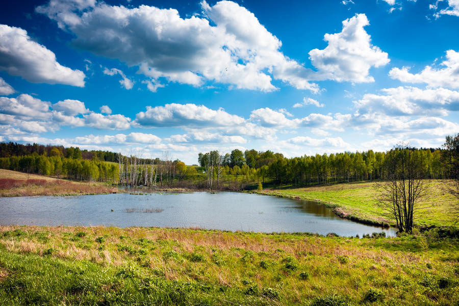 Lake and forest, pure clean Masurian landscape. Poland