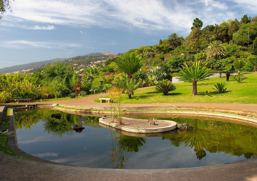 Botanischer Garten, Portugal, Madeira, Funchal