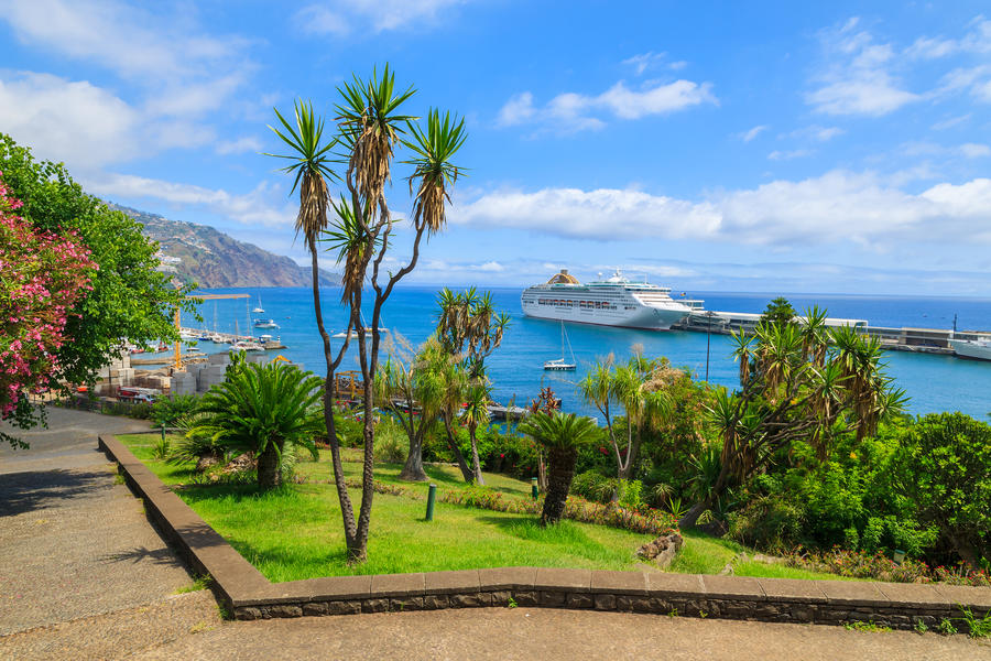 Tropical park in Funchal town with cruise ship on sea in port, Madeira island, Portugal