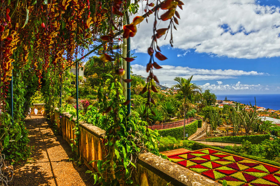 Madeira, Botanical Garden Monte, Funchal, Portugal