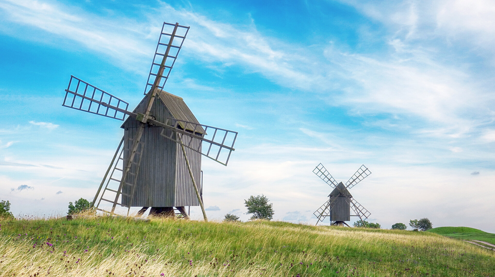 Old Wooden Windmills on Beautiful Landscape. Oland, Sweden.