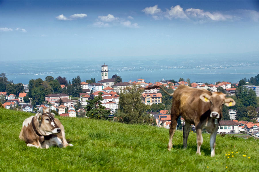 Urlaubsglück im Montafon