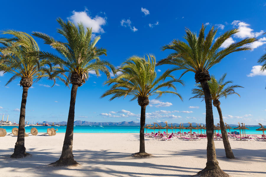 Mallorca Platja de Alcudia beach in Majorca Balearic islands