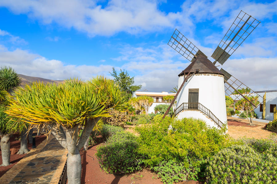 Old windmill in tropical gardens of Antigua village, Fuerteventura, Canary Islands, Spain