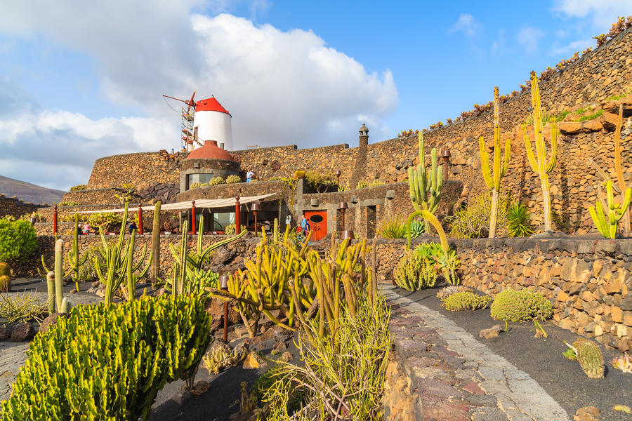 Windmill in tropical cactus garden in Guatiza village, Lanzarote, Canary Islands, Spain