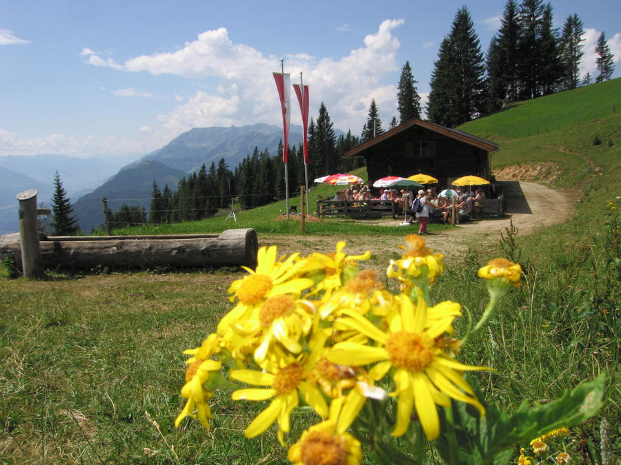 Urlaub im Brandenbergtal in Tirol