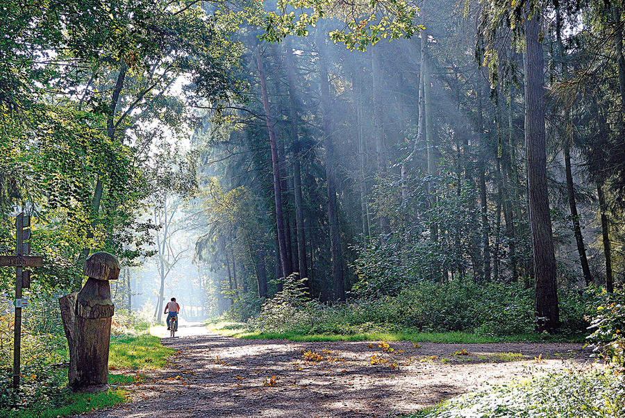 Herbst genießen – in Kellenhusen