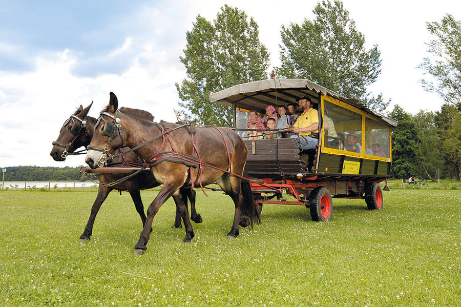 Unterwegs mit Floß und Kremser 1