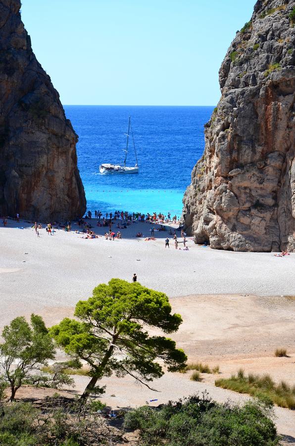 Flugreise Mallorca im Frühling