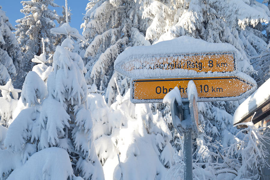 IBU Biathlon Weltcup in Oberhof