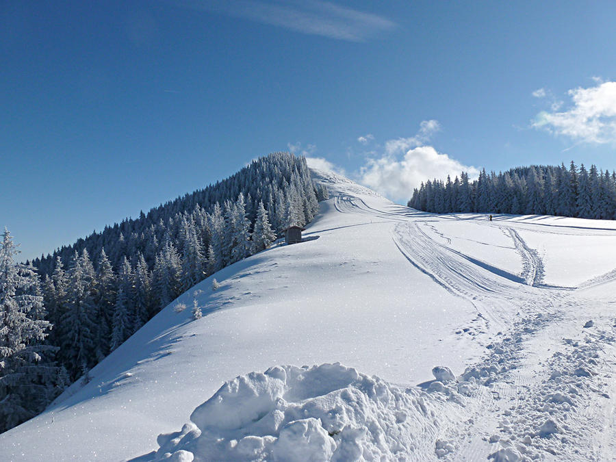 Hausberg Hörnle
