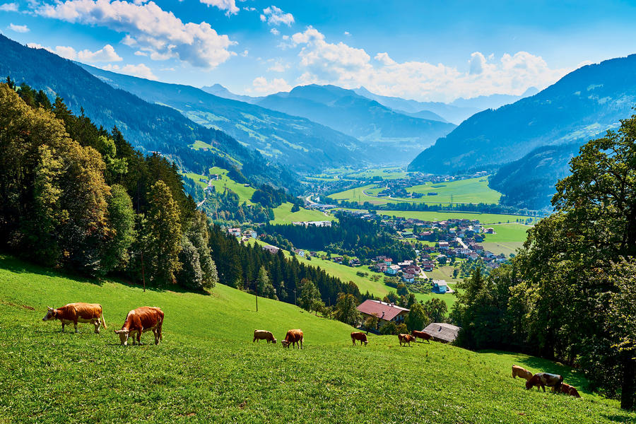 Sonnige Herbsttage im Zillertal