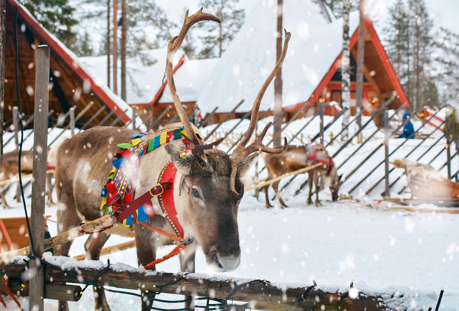 Traumhafte Winterlandschaft in Südfinnland
