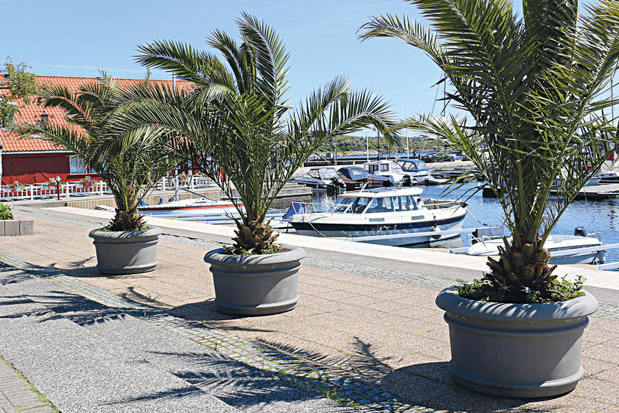 Kristiansand HNL Anika