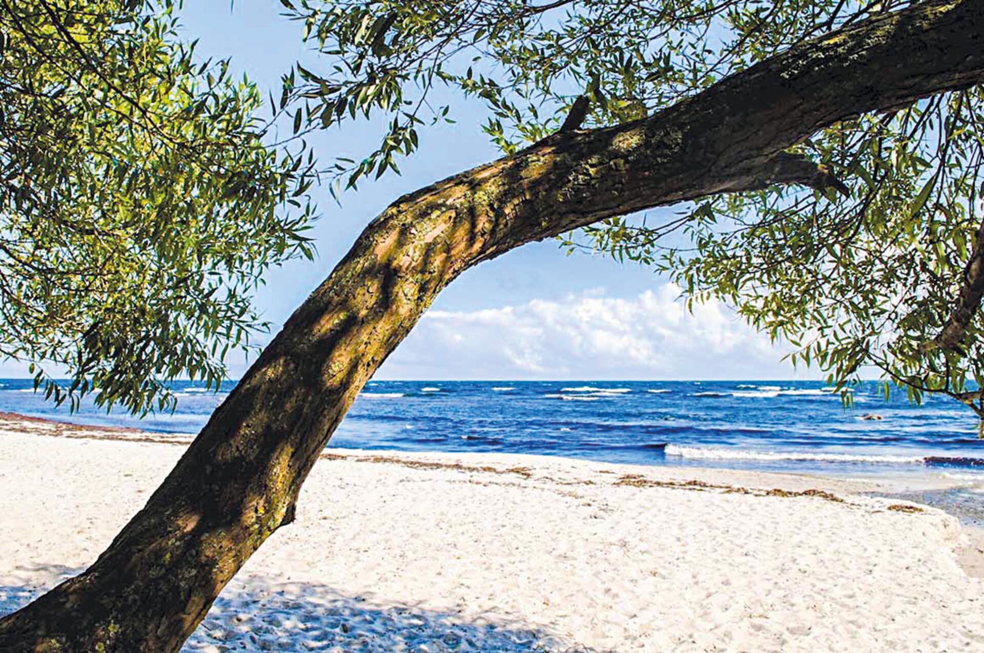 Bornholm
Gültigkeit: 2026
Herkunft:  
Mitarbeiter: KSC