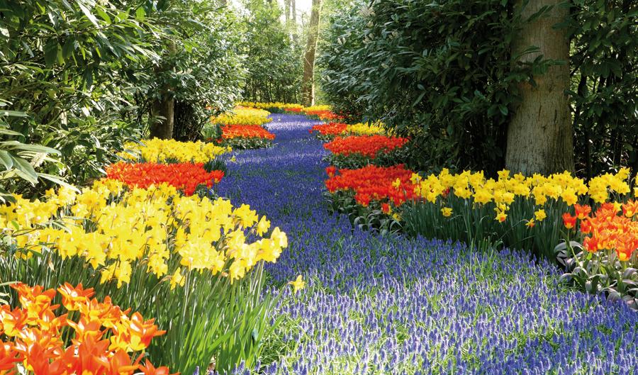 Dänemark-Schloss Gavnø und das größte Tulpenfestival