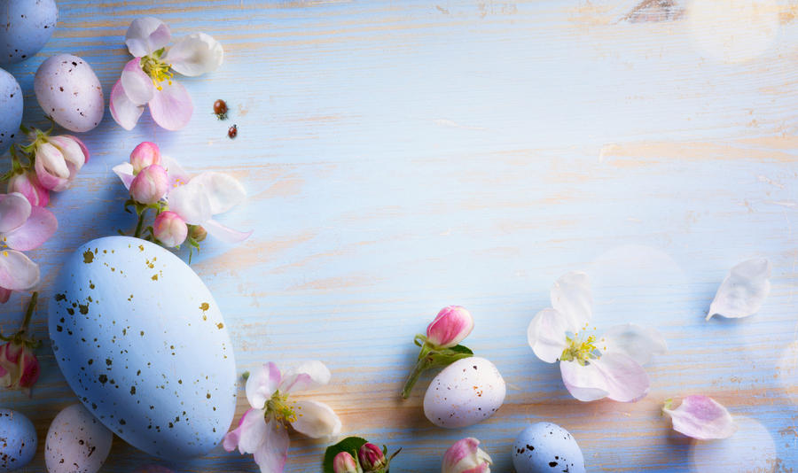 Easter background with Easter eggs and spring flowers. Top view with copy space