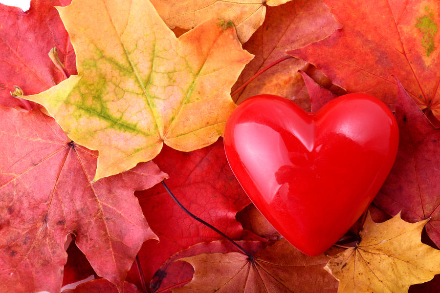 concept of love autum with a red heart and autum leaves