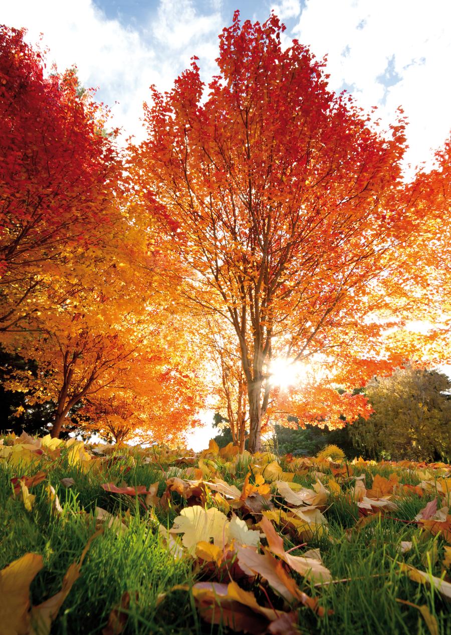 Herbst genießen – in Kellenhusen