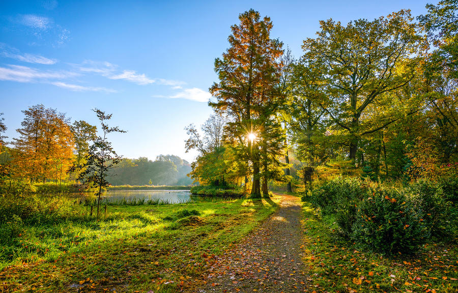 Autumn park road sunlight beautiful landscape