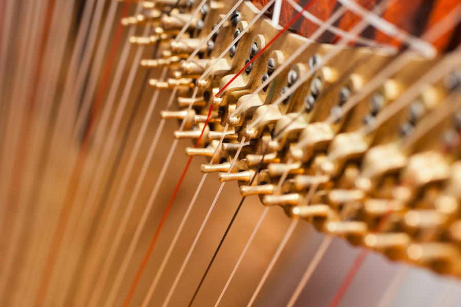 Fragment pins Harp