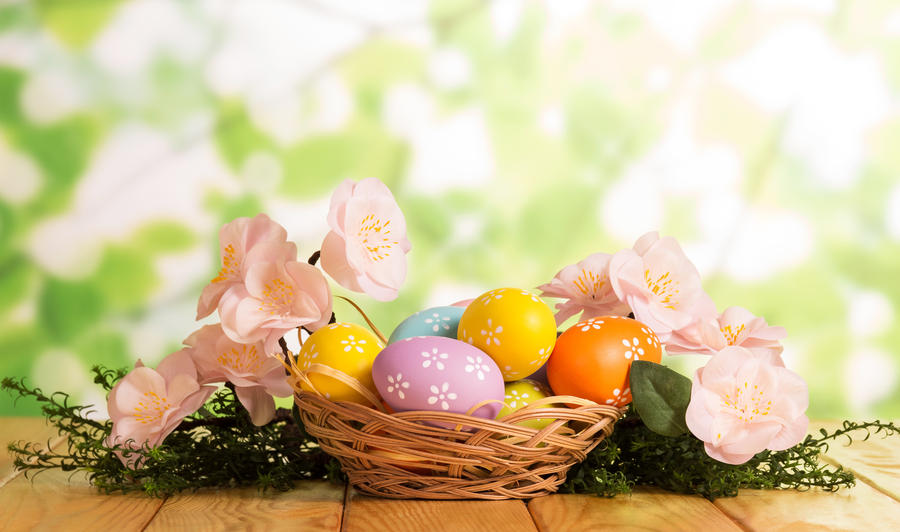 Colorful Easter eggs in the basket, grass, branch with flowers on the abstract green background.
