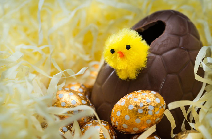 Easter Chick and Eggs in Nest