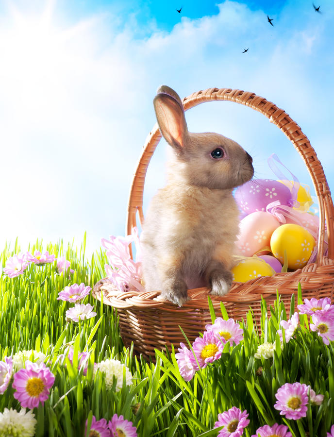Easter basket with decorated eggs and the Easter bunny