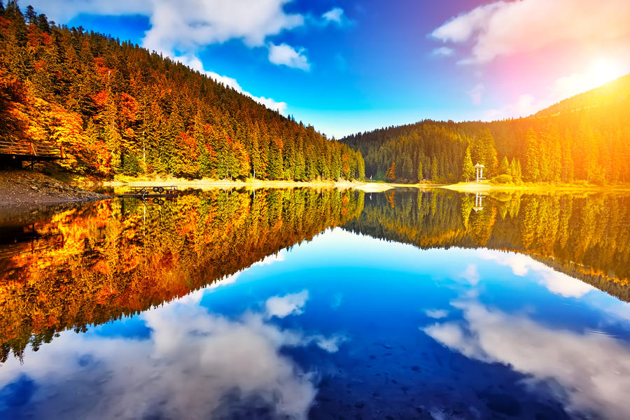 The forest lake reflection landscape. Forest lake trees in autumn season panorama