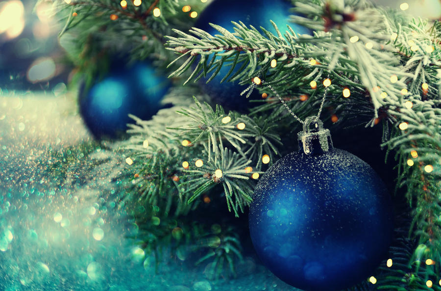 Christmas ball on the branches fir.