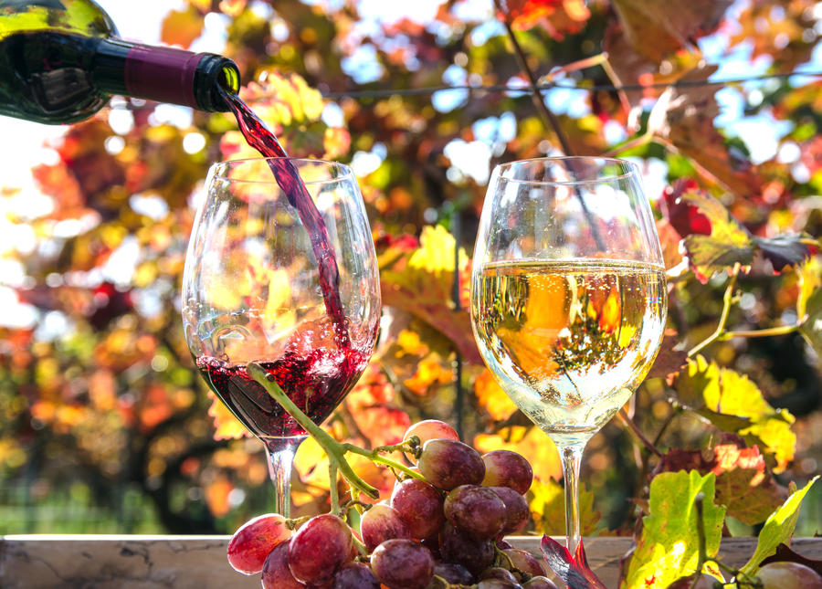 Radwandern im Moselland zwischen Eifel und Hunsrück