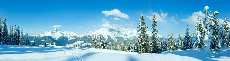 Winter mountain fir forest snowy panorama and woman tourist (top of Papageno bahn - Filzmoos, Austria)