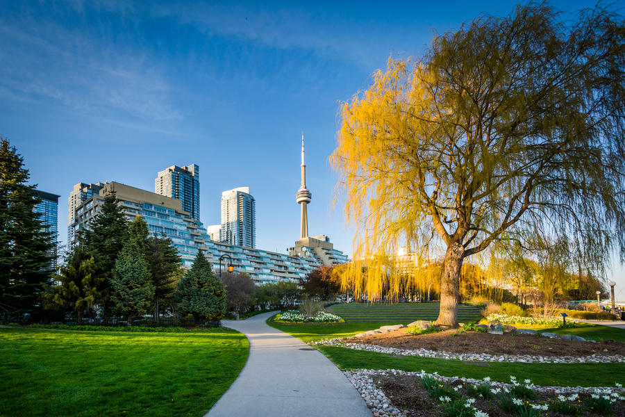 Gardens and tree along a walkway and modern buildings at the Harbourfront in Toronto, Ontario.