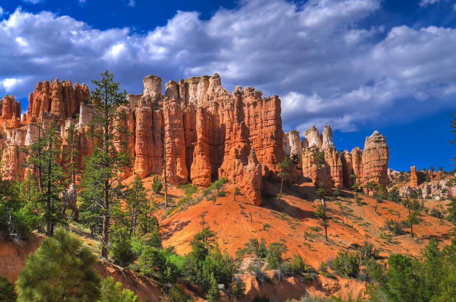 Hoodoos on Mossy Creek Trail in Bryce Canyon