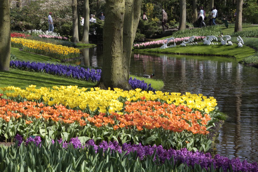 Keukenhof mit Schifffahrt