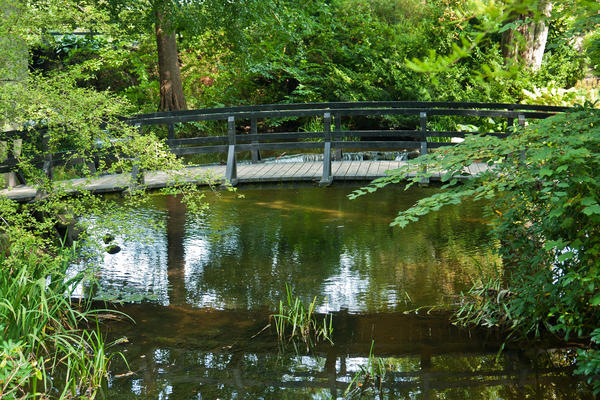 Beautiful small wooden bridge footbridge over river Egeskov Funen  Denmark