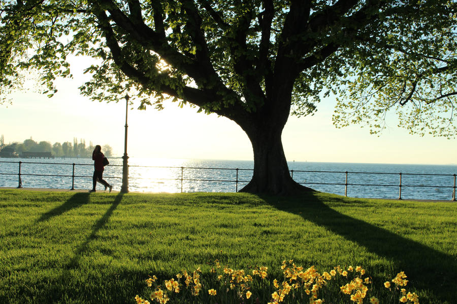 Deeply snow-covered landscape in the mountains with forests and the mountain village Balderschwang at a beautiful clear winter day. Allgaeu, Bavaria, Germany