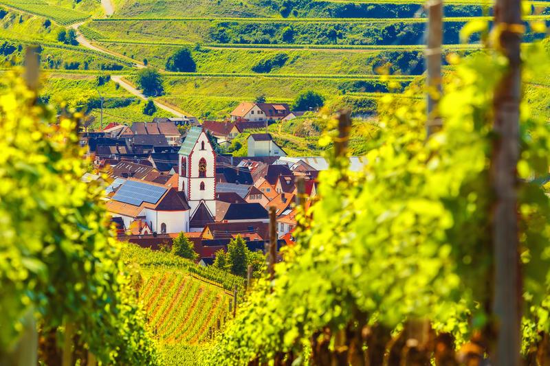 Scenic mountain landscape with vineyards growing on hills and old picturesque town in Germany, Black forest, Kaiserstuhl. Travel and wine-making background.