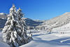 Deeply snow-covered landscape in the mountains with forests and the mountain village Balderschwang at a beautiful clear winter day. Allgaeu, Bavaria, Germany