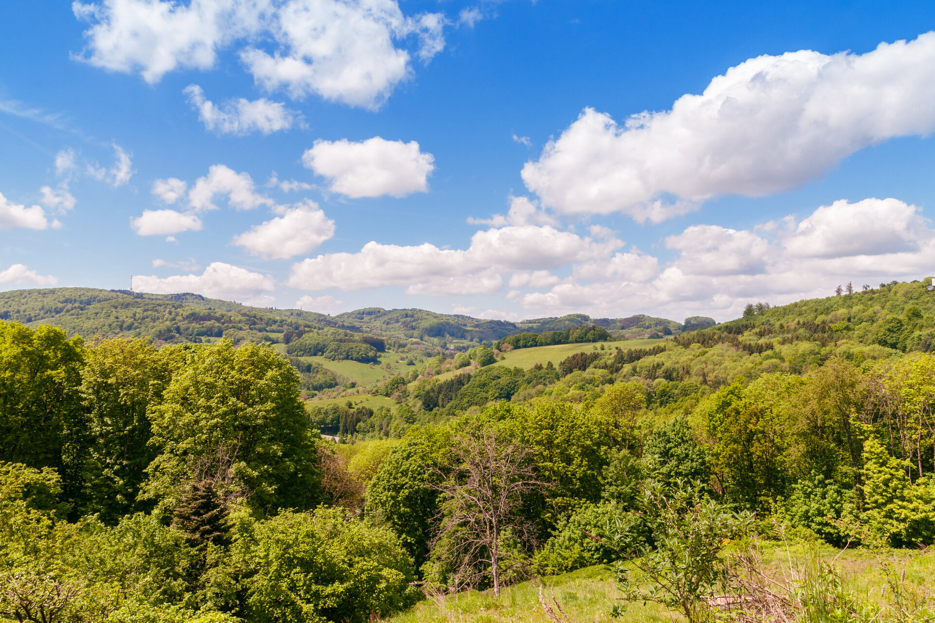 View of Spring landscape in Odenwald, Germany