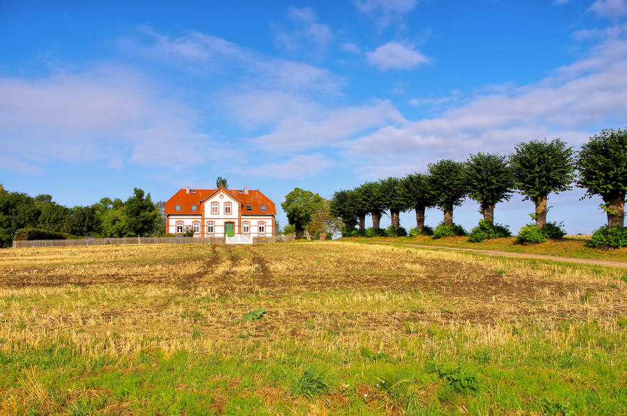 an old villa with a lime tree avenue on the island of Poel in Germany