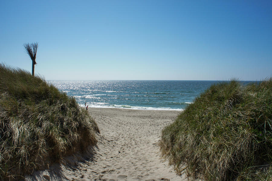 Amazing view through the dunes into the blue ocean