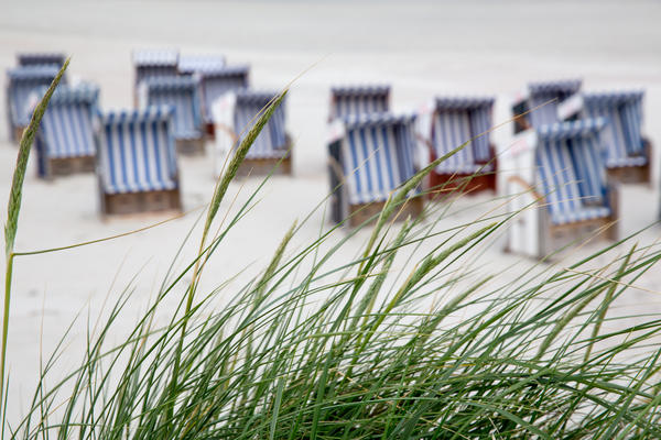 a couple of roofed wicker beach chairs at the coastline of the German island "Norderney".The focus is set on the common dune grass, which is visible on the frontside of the photograph.