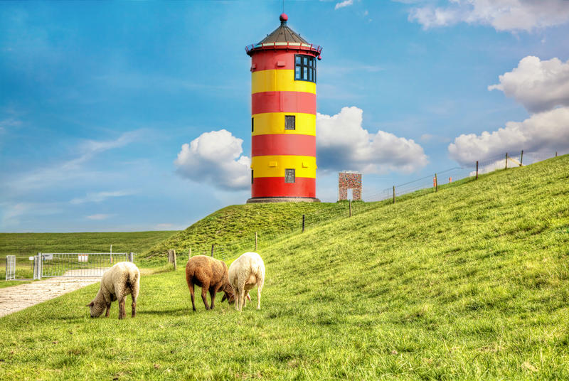 Sheep in front of the Pilsum lighthouse on the North Sea coast of Germany.