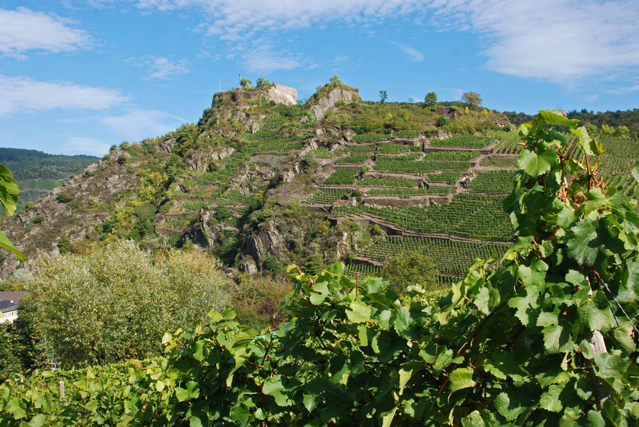 Ahrtal (Ahr Valley) vineyards on rocky slopes